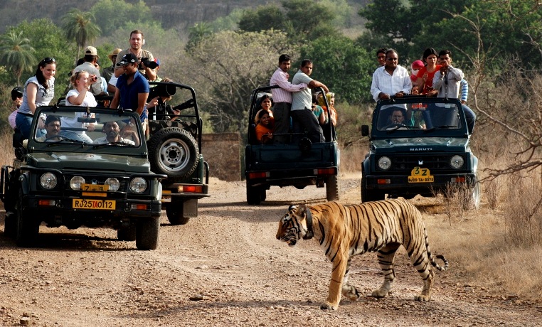 Sariska Weekend Tour